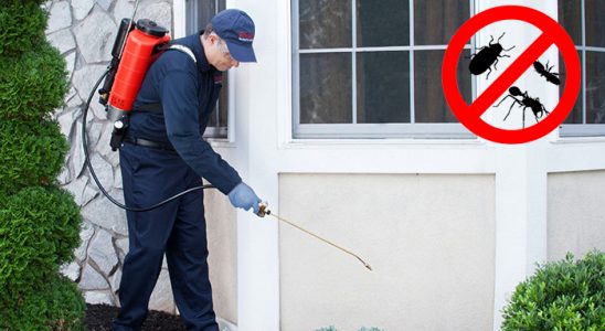Yeşilova Hamam Böceği İlaçlama böcek ilaçlama ve haşere kontrolü — ilaclama-tr.com